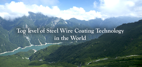 Top level of Steel Wire Coating Technology in the World